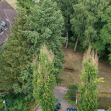 Die Schulmatratze